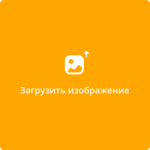 Саженец розы Симбелин (Cymbaline)